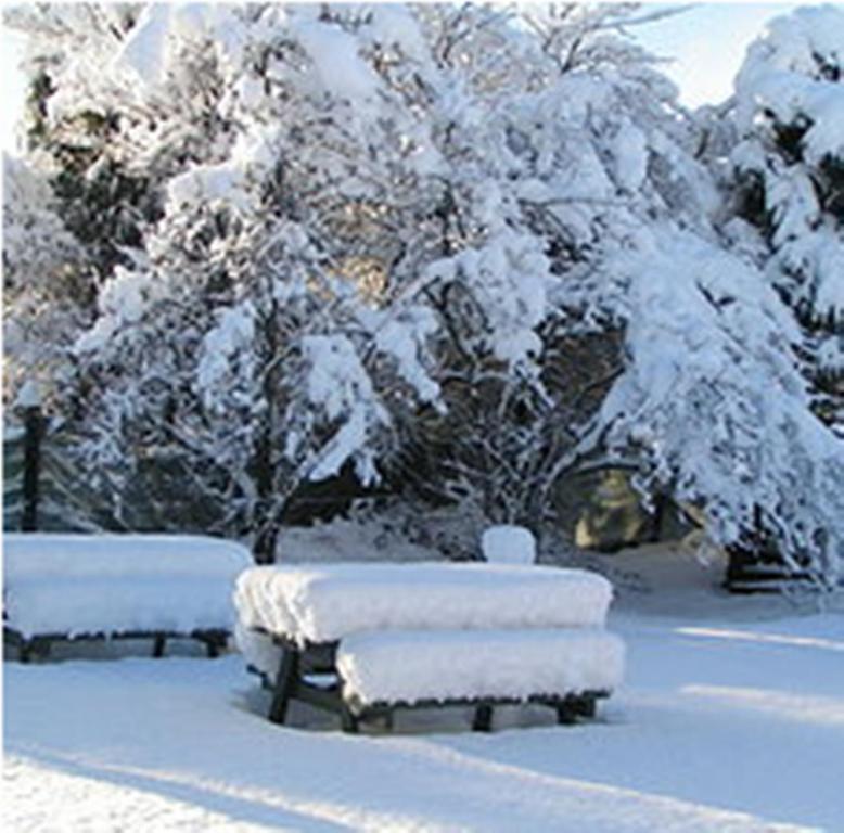 Jack In The Green Garden Rooms Hanmer Springs Dış mekan fotoğraf