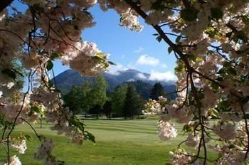 Jack In The Green Garden Rooms Hanmer Springs Dış mekan fotoğraf